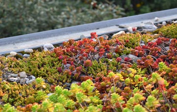the cost of Harlestone green roof installation